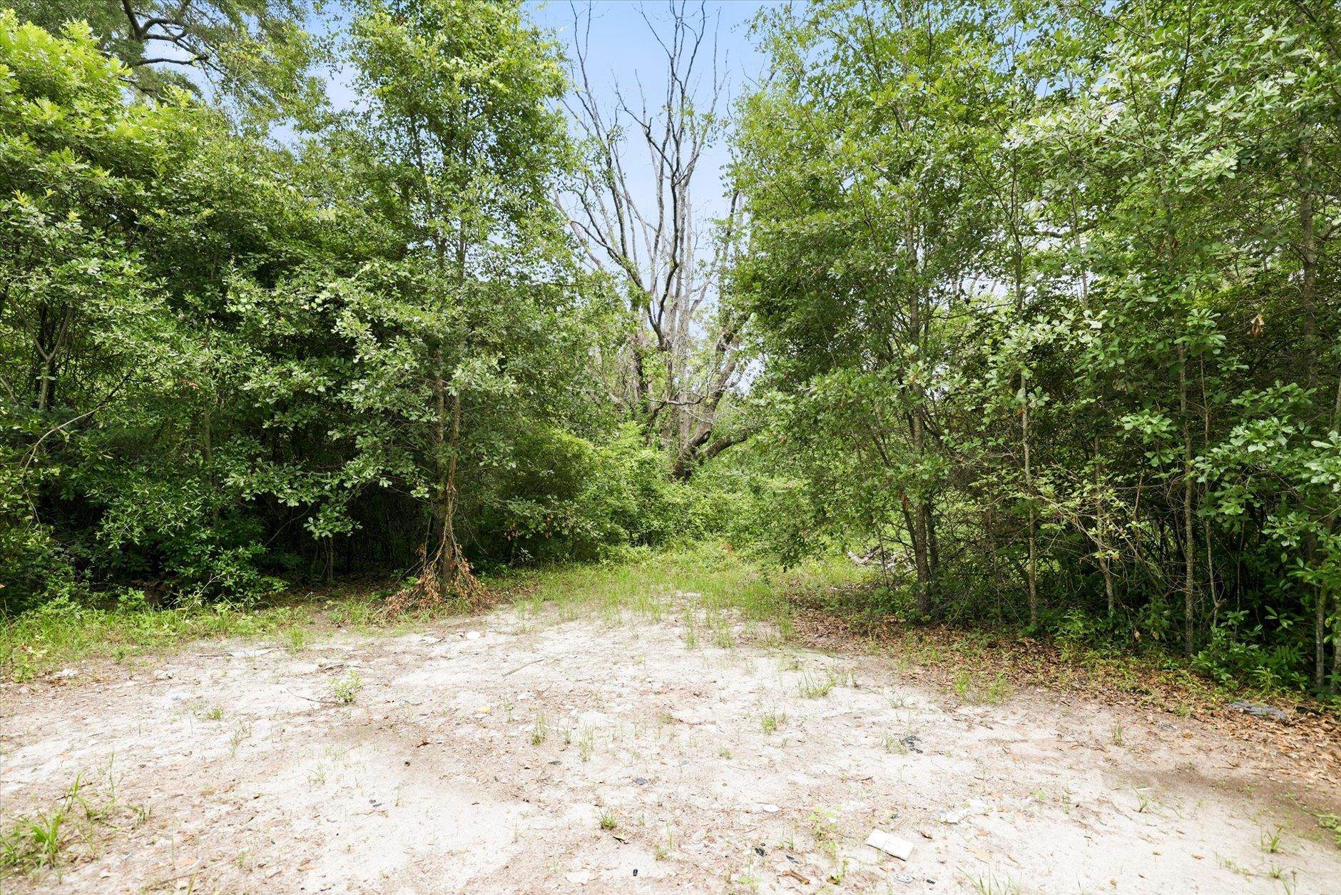 1612 Old Bainbridge Road Tallahassee, FL 32303 - Photo 36 of 43