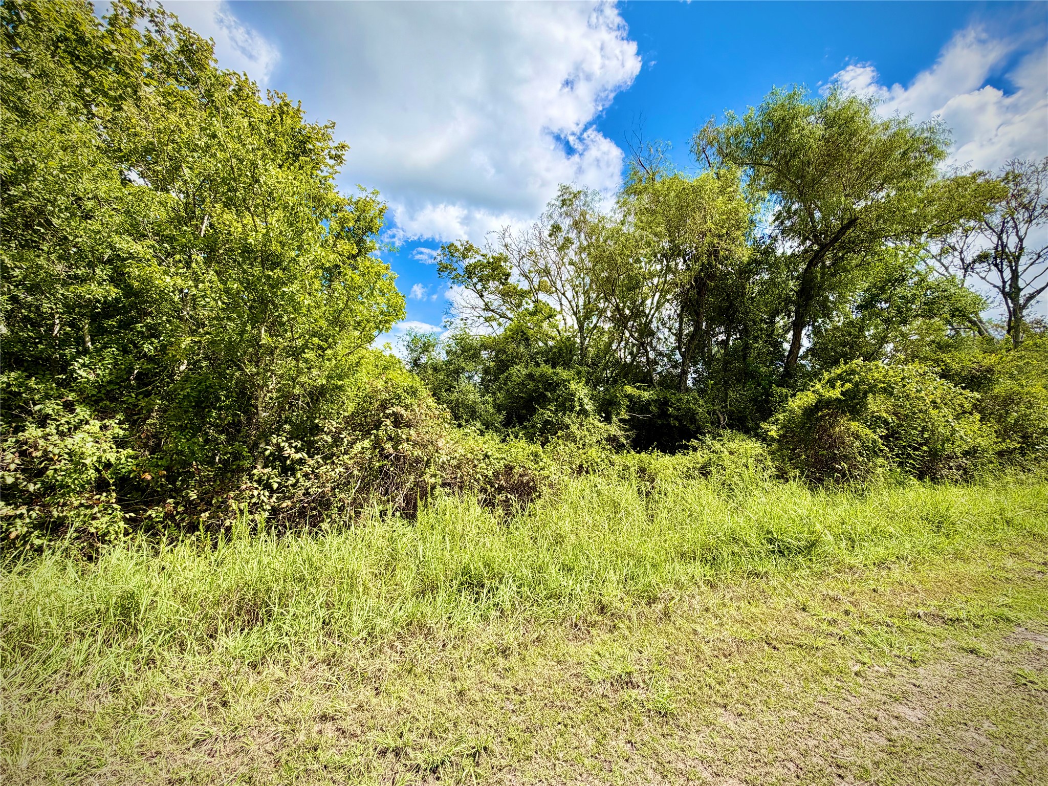 0 County Road 121 Rosharon, TX 77583 - Photo 11 of 11 Gallery Image 11