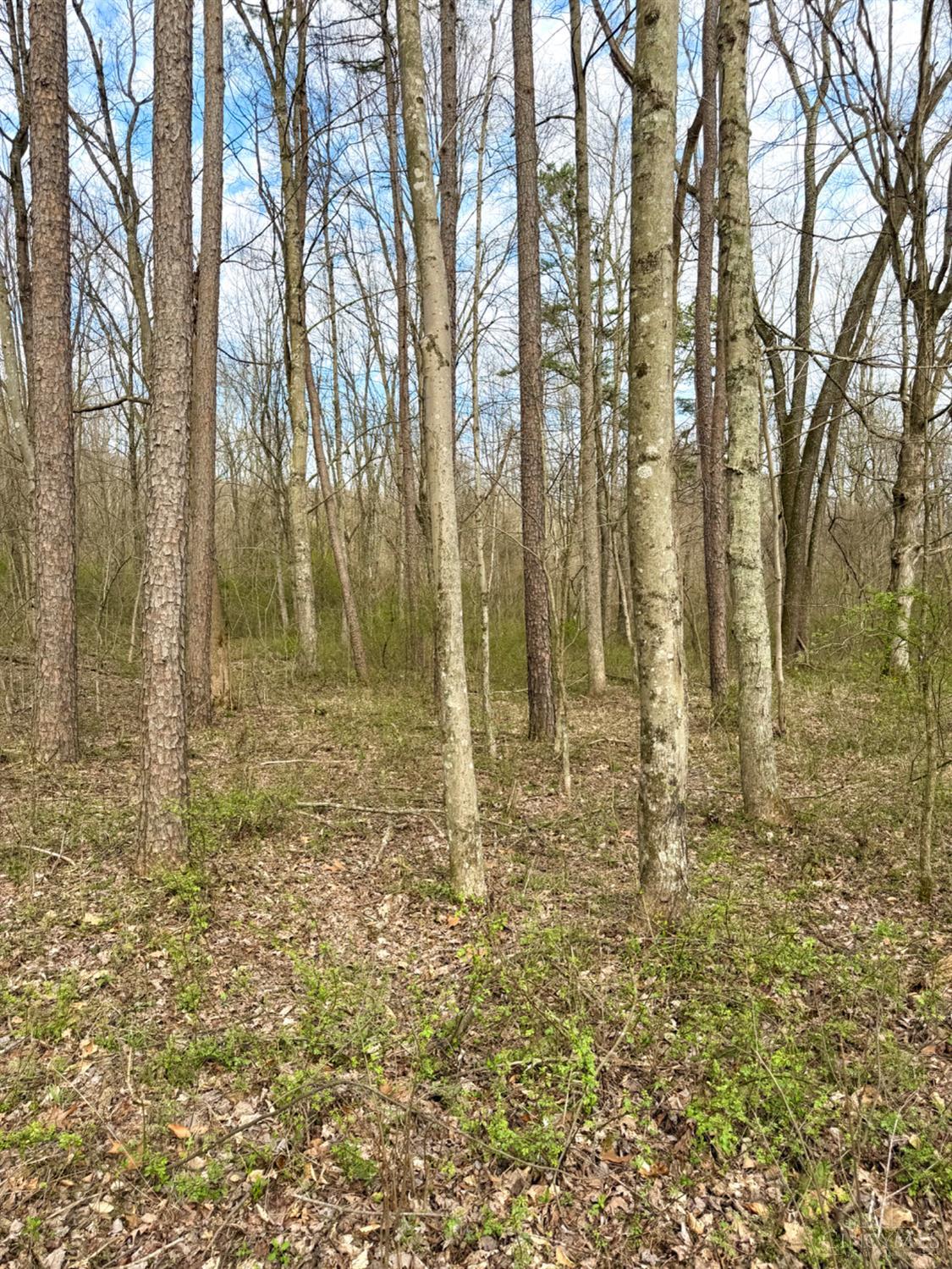 0 Fyffe Hollow Road Chillicothe, OH 45601 - Photo 65 of 96