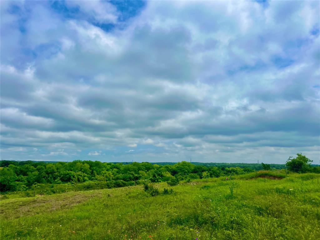 View of local wilderness