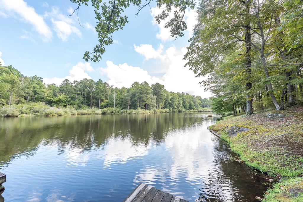 989 Old Smith Road Fortson, GA 31808 - Photo 32 of 55 Gallery Image 32