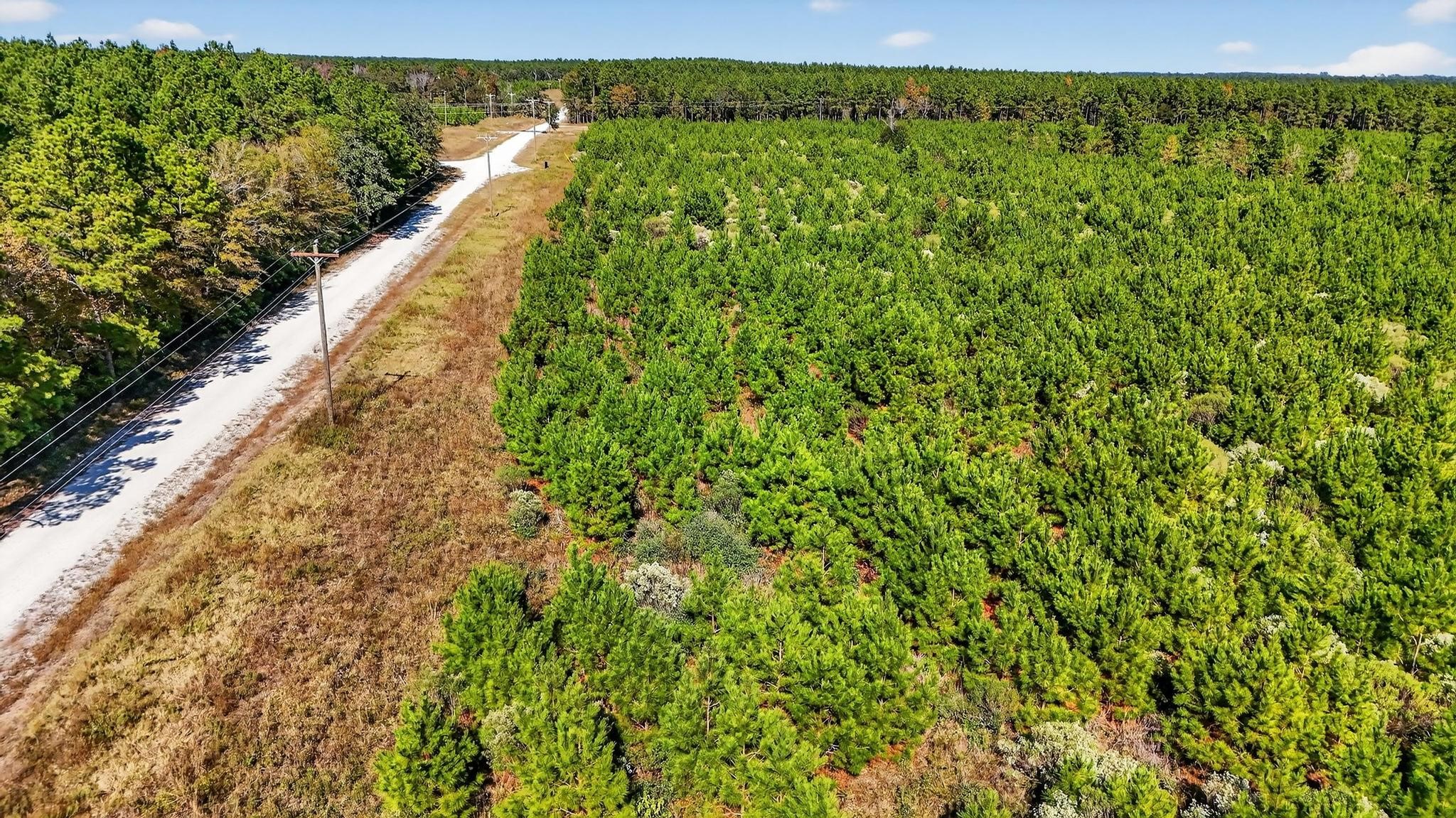 625 Trinity Trail Lovelady, TX 75851 - Photo 12 of 14