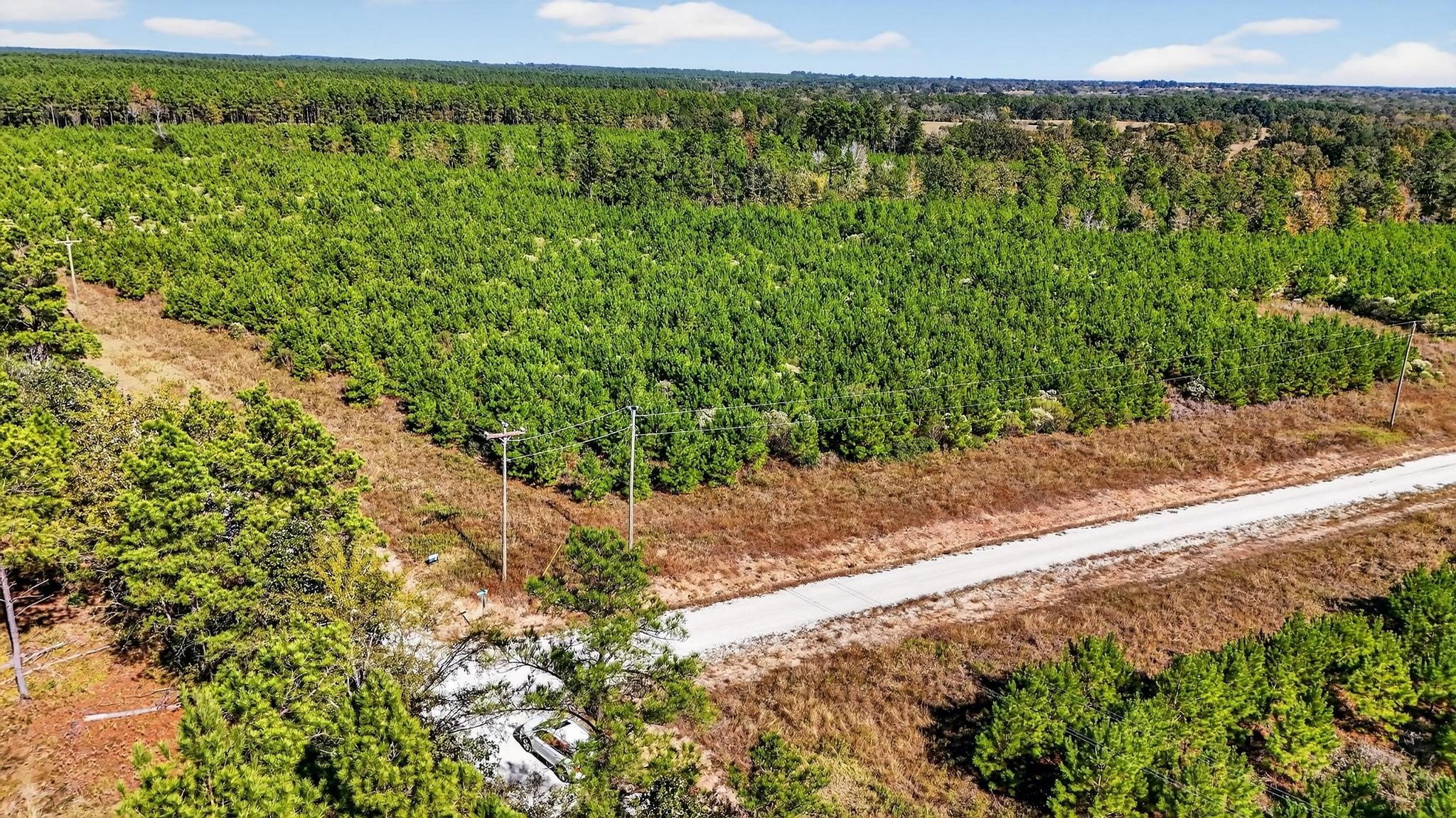 625 Trinity Trail Lovelady, TX 75851 - Photo 13 of 14