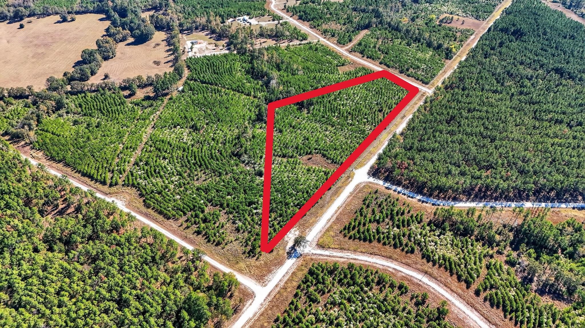 625 Trinity Trail Lovelady, TX 75851 - Photo 6 of 14