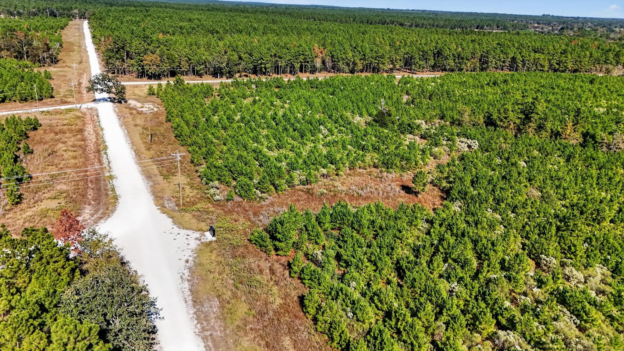 625 Trinity Trail Lovelady, TX 75851 - Photo 10 of 14