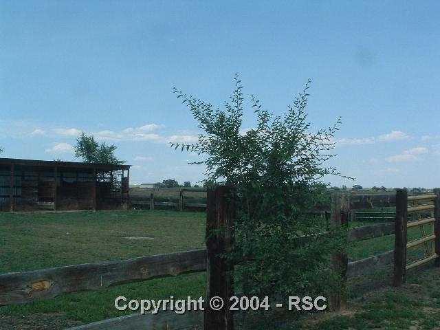 16625 Myers Road Colorado Springs, CO 80928 - Photo 3 of 9 Gallery Image 3