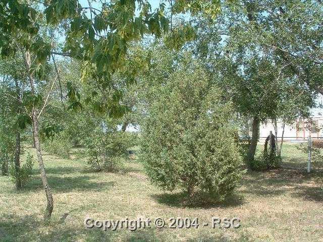 16625 Myers Road Colorado Springs, CO 80928 - Photo 8 of 9 Gallery Image 8