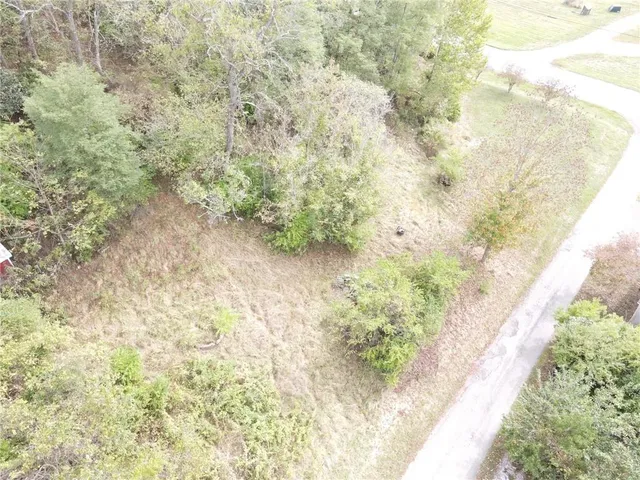 a view of a yard with pathway