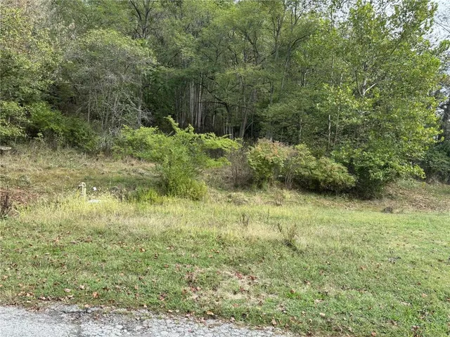 a view of outdoor space and a yard