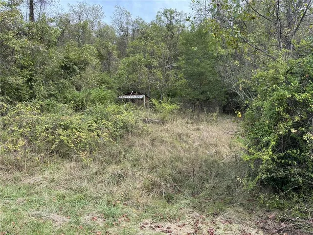 a view of a field with an trees