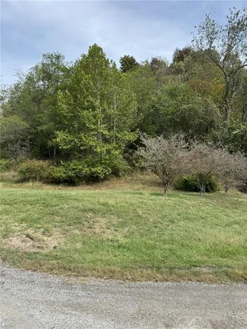 a view of a city with lush green forest
