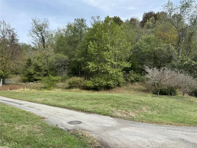 a view of a grassy field with trees