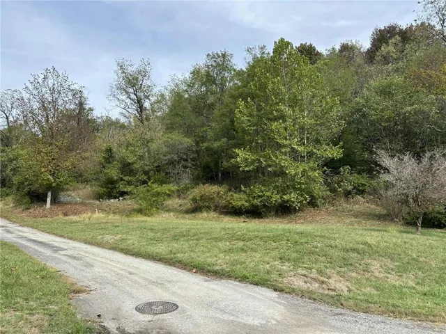 a view of a grassy field with trees