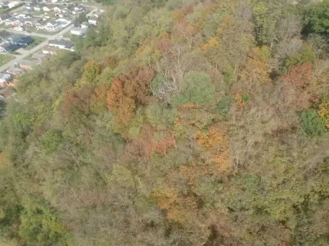 a view of a yard from balcony