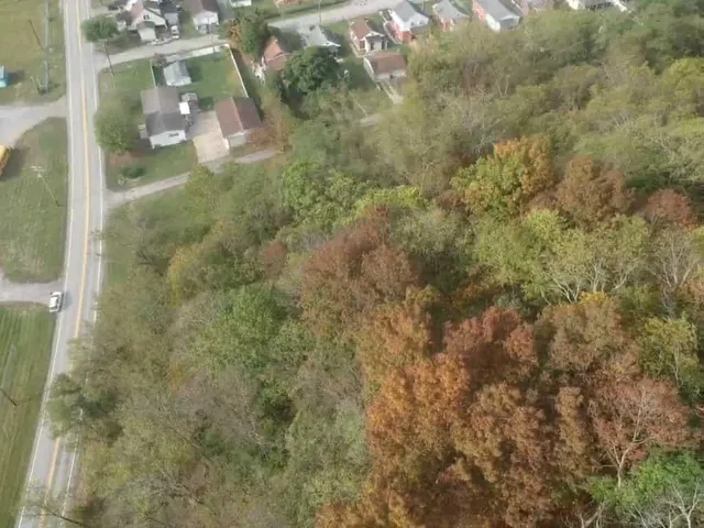 a view of a yard from a balcony