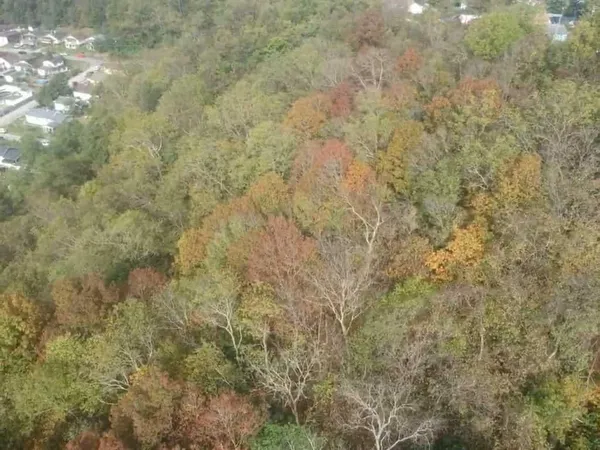 $26,900 | 69 Main Street, Clarksville, PA 15322