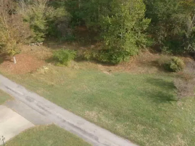 a view of a dry yard