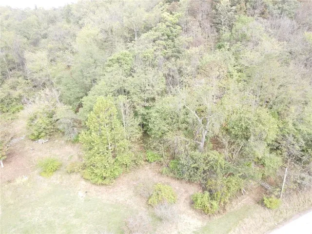 a sign that is sitting in front of a tree