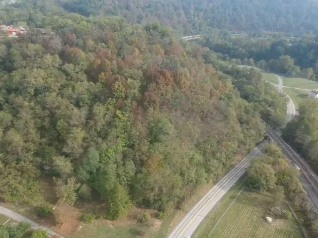 a view of a dry yard