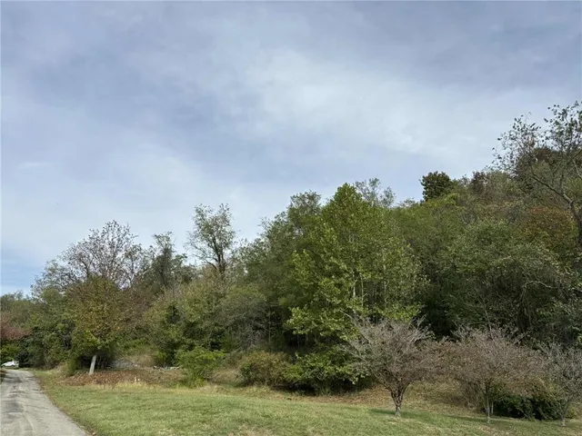 a view of a lake with lots of trees