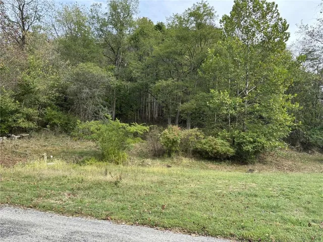 a view of outdoor space and yard