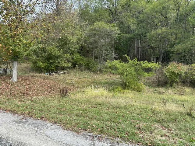 a view of a yard with plants and large trees