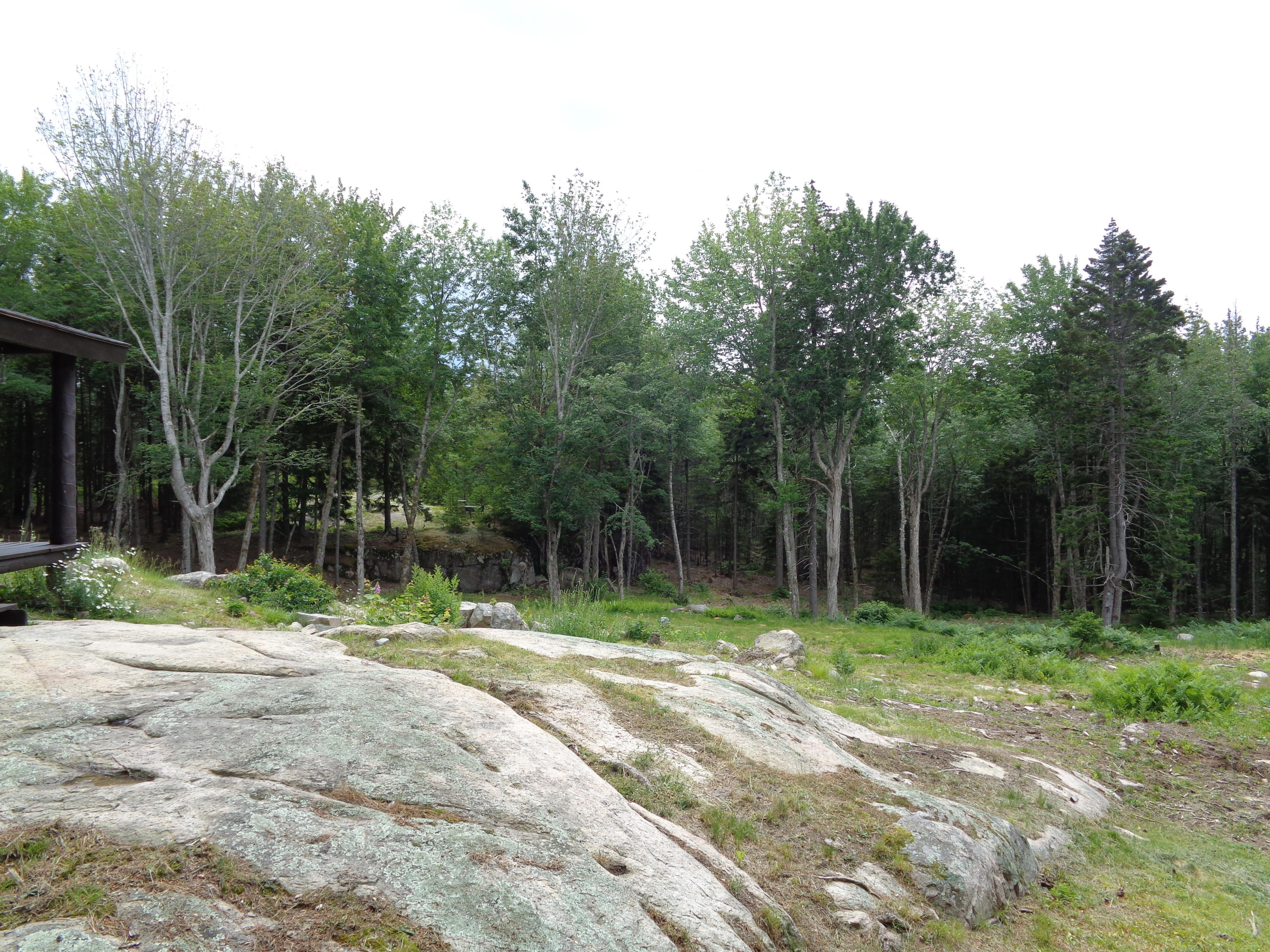 19 Peninsula Road Gouldsboro, ME 04624 - Photo 64 of 72 DSC05286