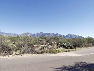 1625 West Moore Road Tucson, AZ 85755 - Photo 4 of 4 Gallery Image 4