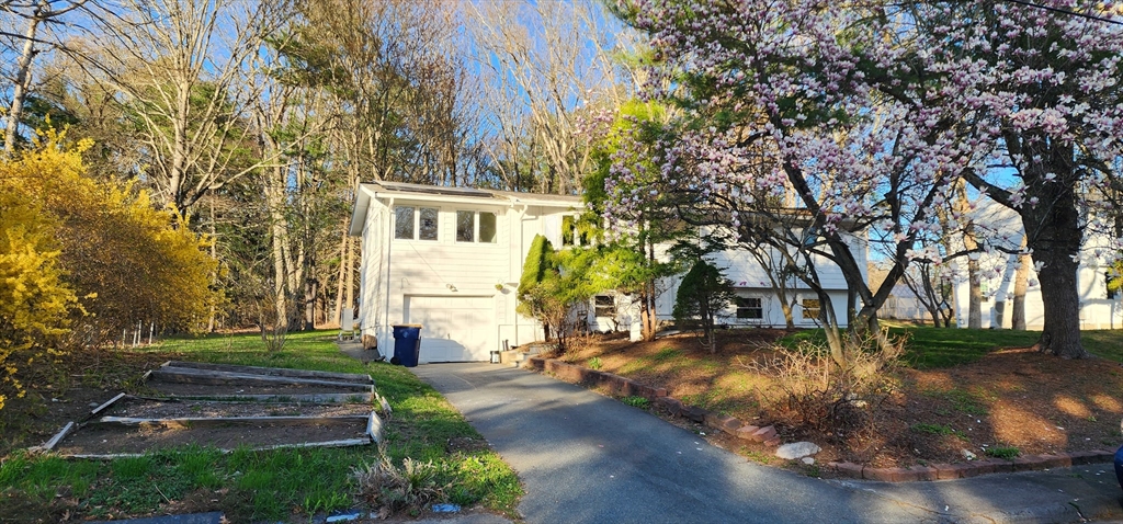 48 Spring Lane Sharon, MA 02067 - Photo 20 of 30 Gallery Image 20