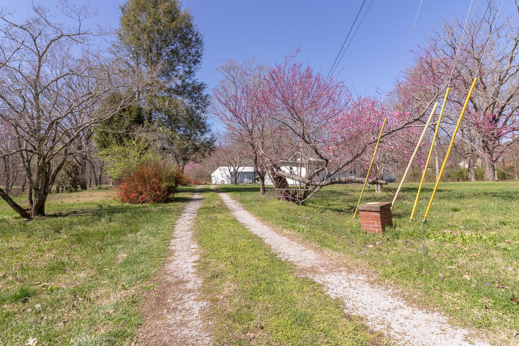 201 South Tunnel Road Portland, TN 37148 - Photo 4 of 41 a view of yard with green space