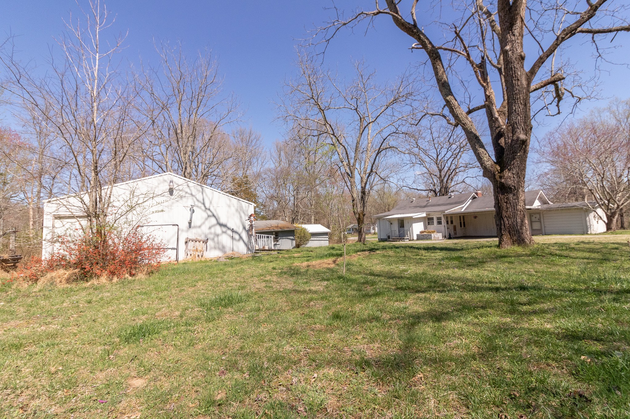 201 South Tunnel Road Portland, TN 37148 - Photo 40 of 41 a view of a yard with a house and a tree