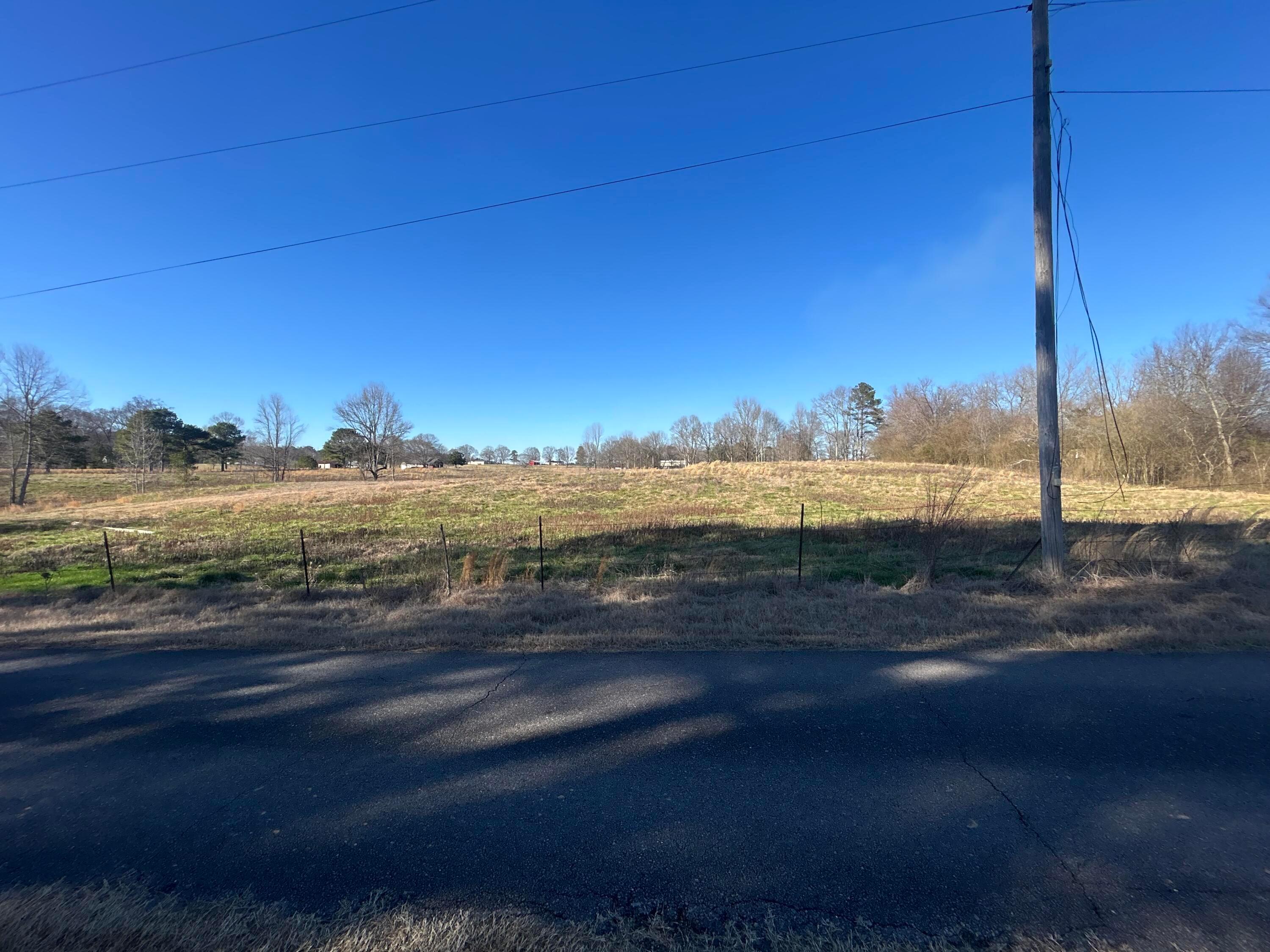 10 /- Acres On Dowdy Road Jasper, AL 35504 - Photo 3 of 5 IMG_7188