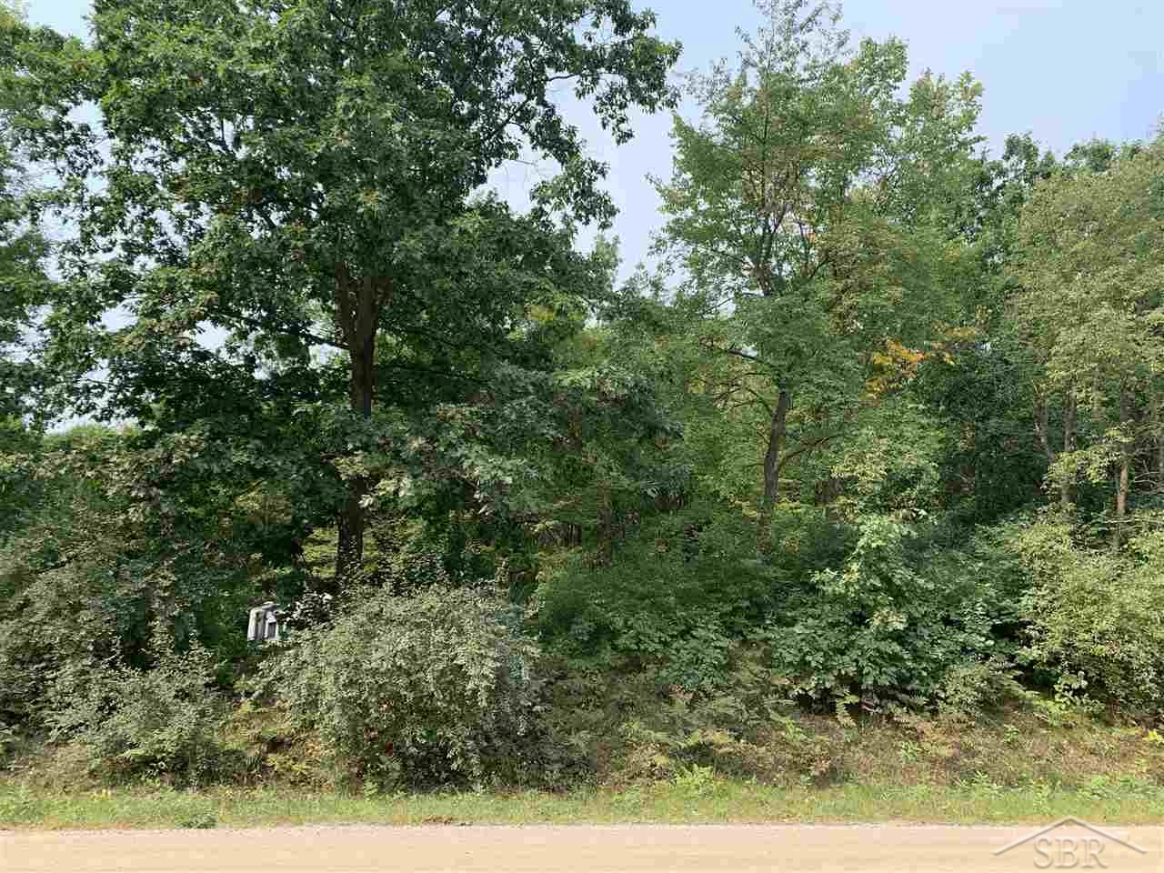 V/l Washburn Road Vassar, MI 48768 - Photo 3 of 5