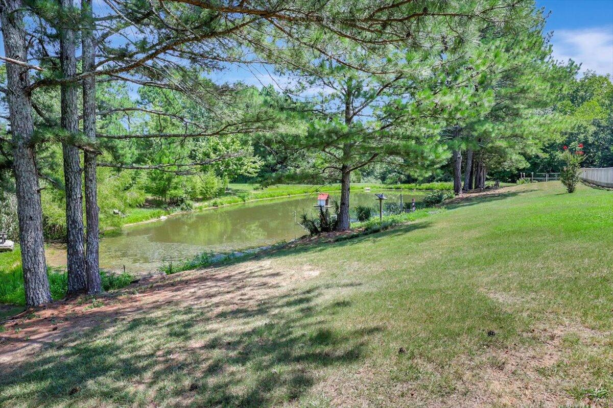 128 Shadow Springs Trail Rock Spring, GA 30739 - Photo 31 of 64 31-Pinnacle Tour - 128 Shadow Springs -