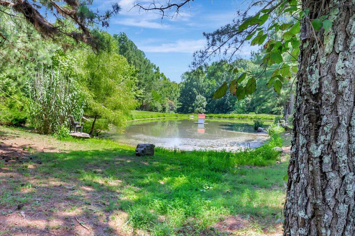 128 Shadow Springs Trail Rock Spring, GA 30739 - Photo 32 of 64 32-Pinnacle Tour - 128 Shadow Springs -