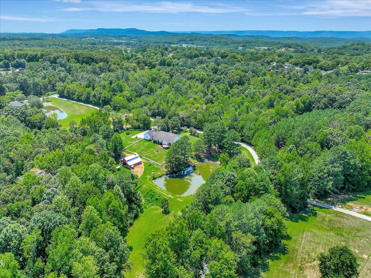 128 Shadow Springs Trail Rock Spring, GA 30739 - Photo 51 of 64 50-Pinnacle Tour - 128 Shadow Springs -