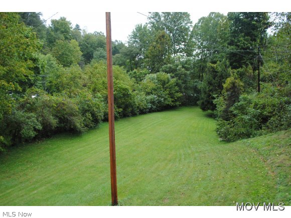 133 Old US 50 Road Walker, WV 26180 - Photo 10 of 15 Gallery Image 10