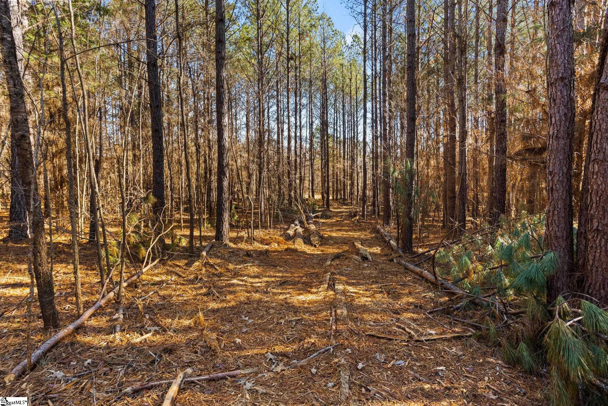 0 Ghost Creek Road, Unit LOT 3 Laurens, SC 29360 - Photo 22 of 34 Gallery Image 22