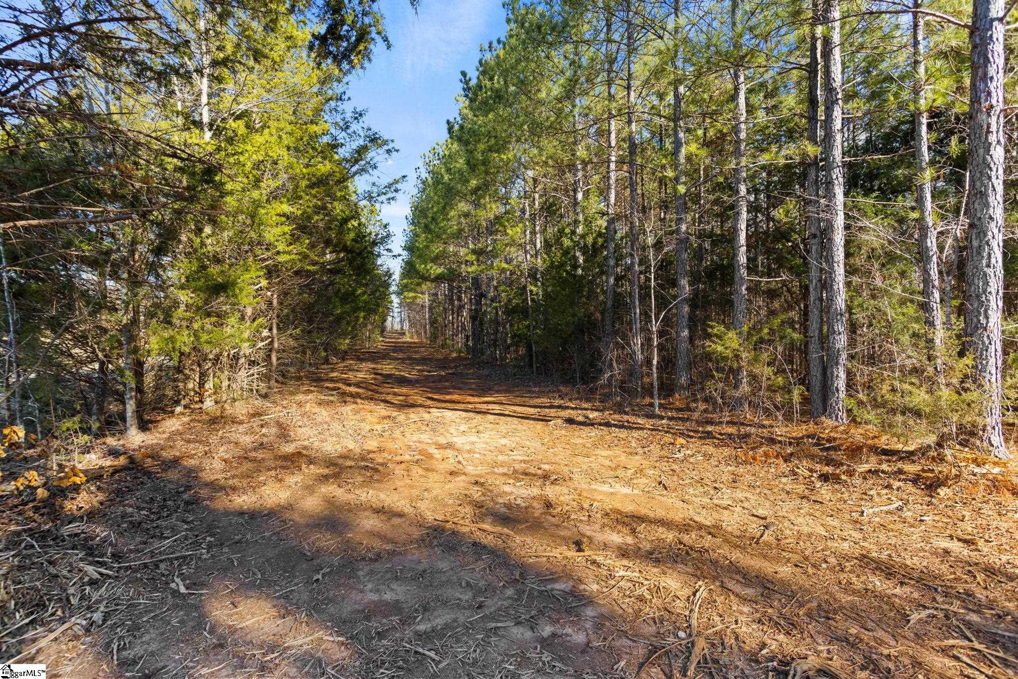 0 Ghost Creek Road, Unit LOT 3 Laurens, SC 29360 - Photo 27 of 34 Gallery Image 27