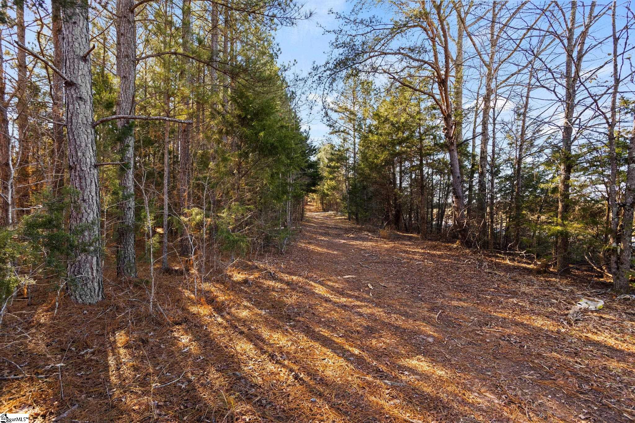 0 Ghost Creek Road, Unit LOT 3 Laurens, SC 29360 - Photo 28 of 34 Gallery Image 28