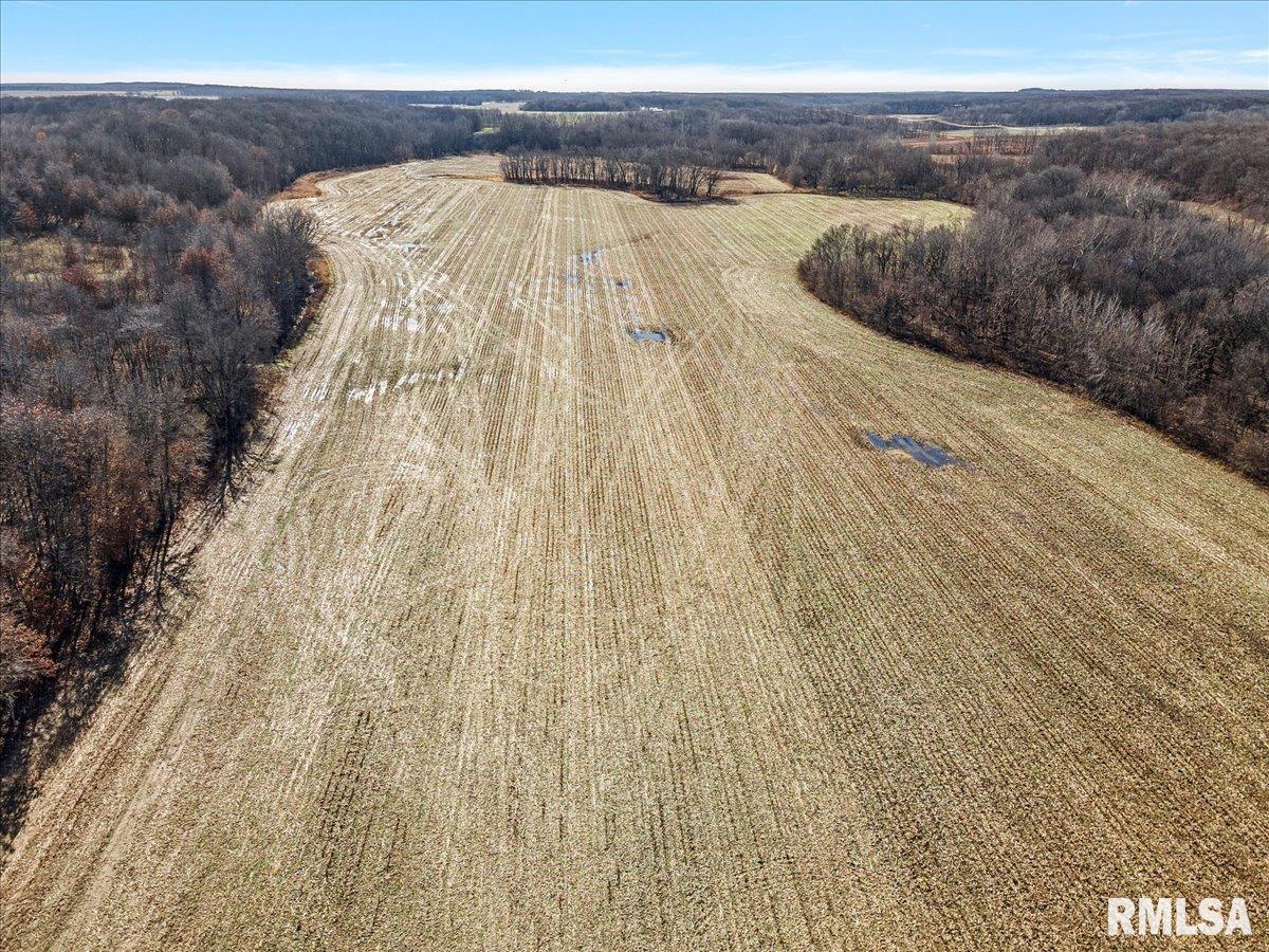 201 North 700 E Road Herrick, IL 62431 - Photo 11 of 23