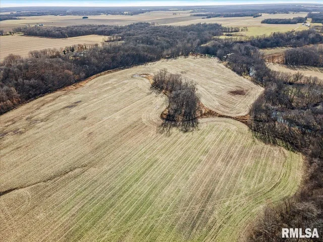 $699,000 | 201 North 700 E Road, Herrick, IL 62431