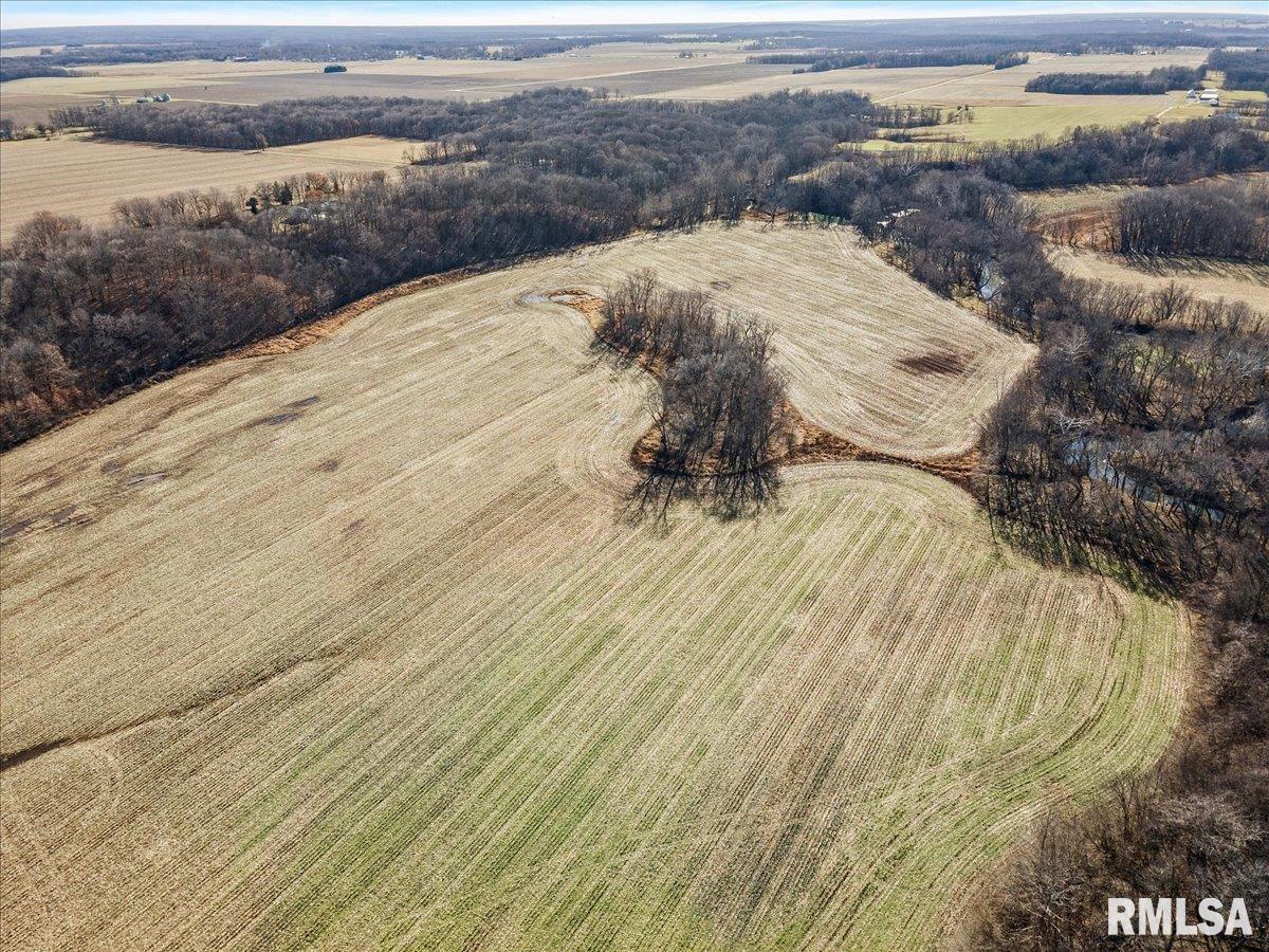 201 North 700 E Road Herrick, IL 62431 - Photo 14 of 23