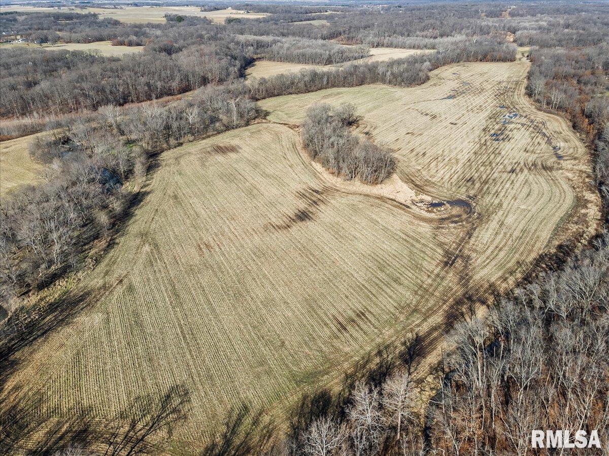 201 North 700 E Road Herrick, IL 62431 - Photo 16 of 23