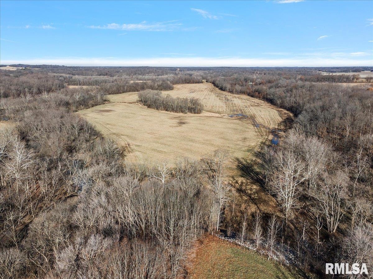 201 North 700 E Road Herrick, IL 62431 - Photo 17 of 23