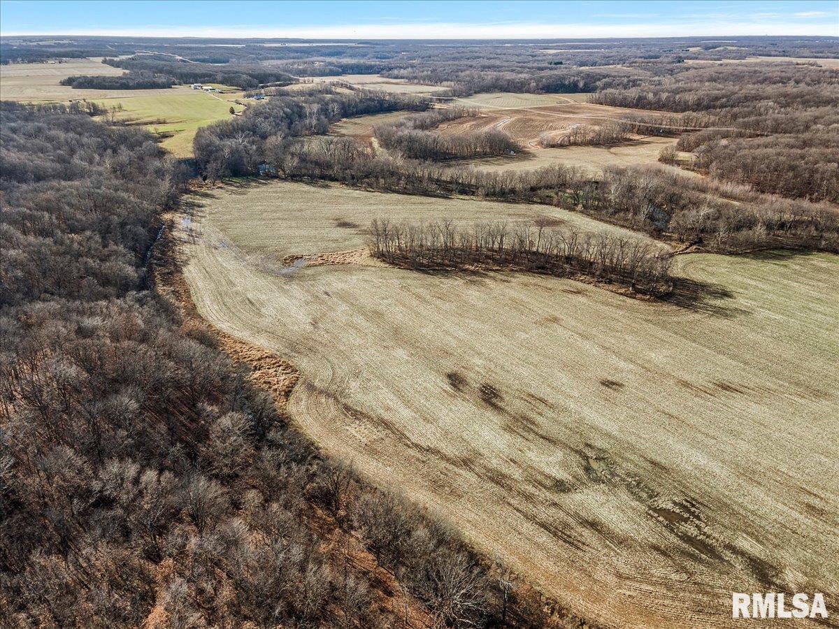 201 North 700 E Road Herrick, IL 62431 - Photo 18 of 23