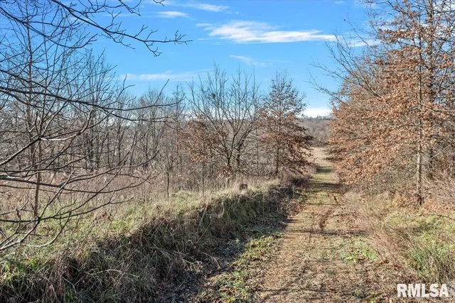 $699,000 | 201 North 700 E Road, Herrick, IL 62431