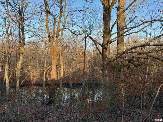 $699,000 | 201 North 700 E Road, Herrick, IL 62431