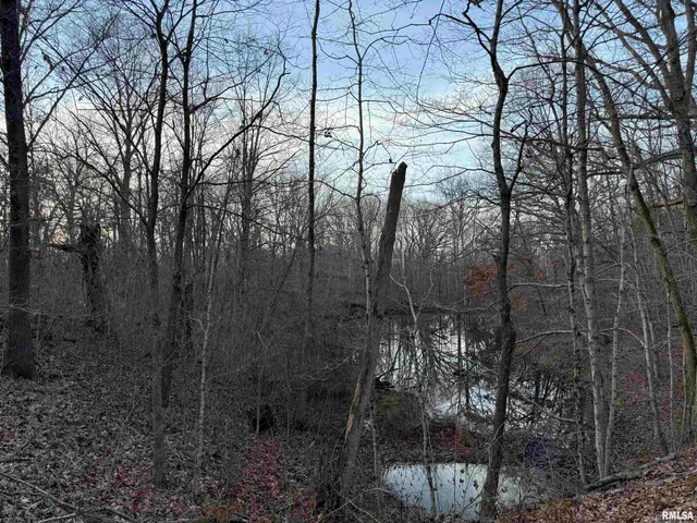 $699,000 | 201 North 700 E Road, Herrick, IL 62431