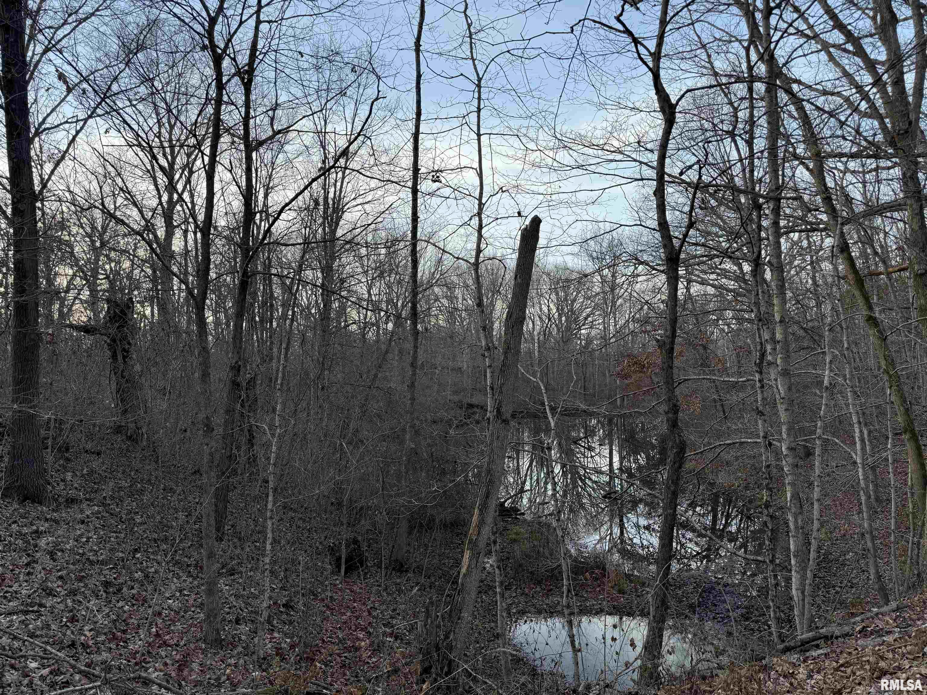 201 North 700 E Road Herrick, IL 62431 - Photo 22 of 23